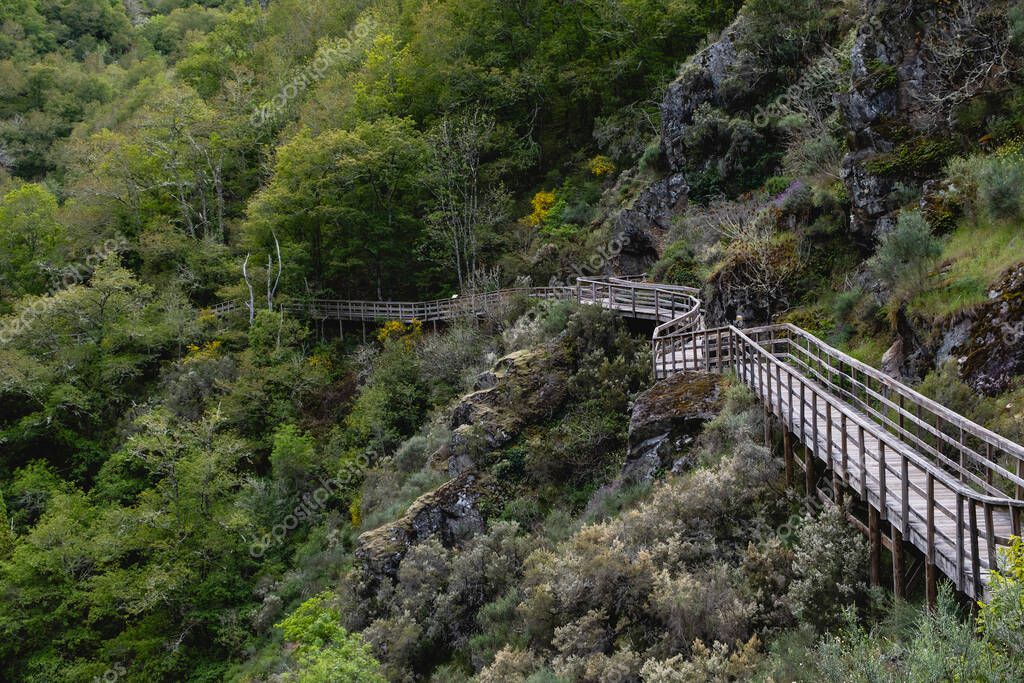 Sendero entre árboles junto a un río en el entorno de Barro